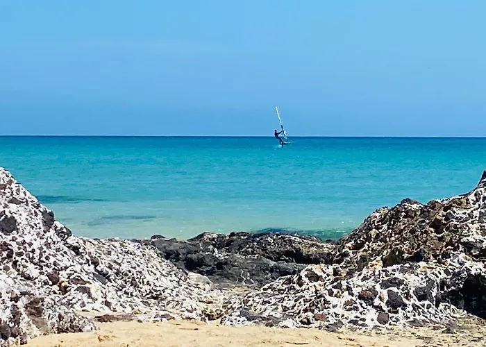 Savoa 247 Tarajalejo