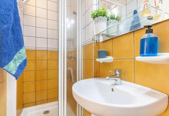 Savoa 247 * Tarajalejo