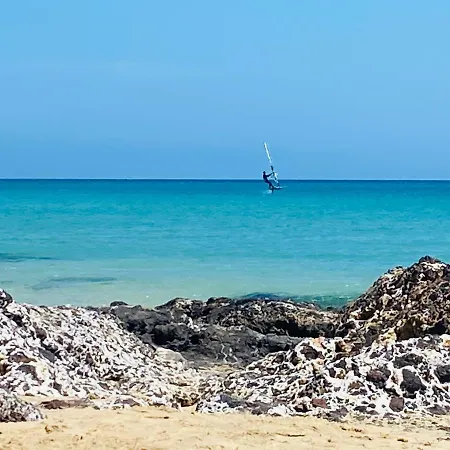 Savoa 247 タラハレホ